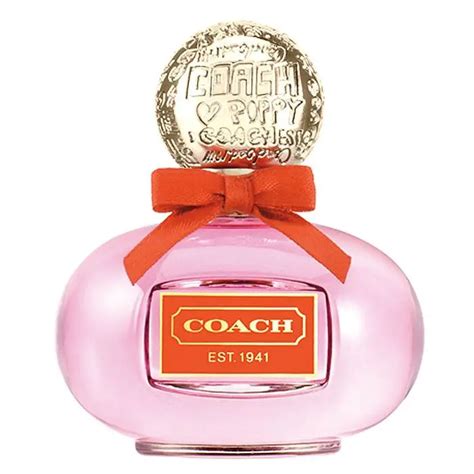 perfume similar to coach poppy